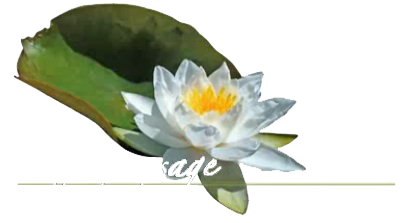 AQUAPAYSAGE SARL